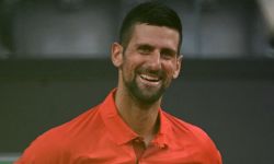 ديوكوفيتش يتعرض لضربة خطيرة في الرأس